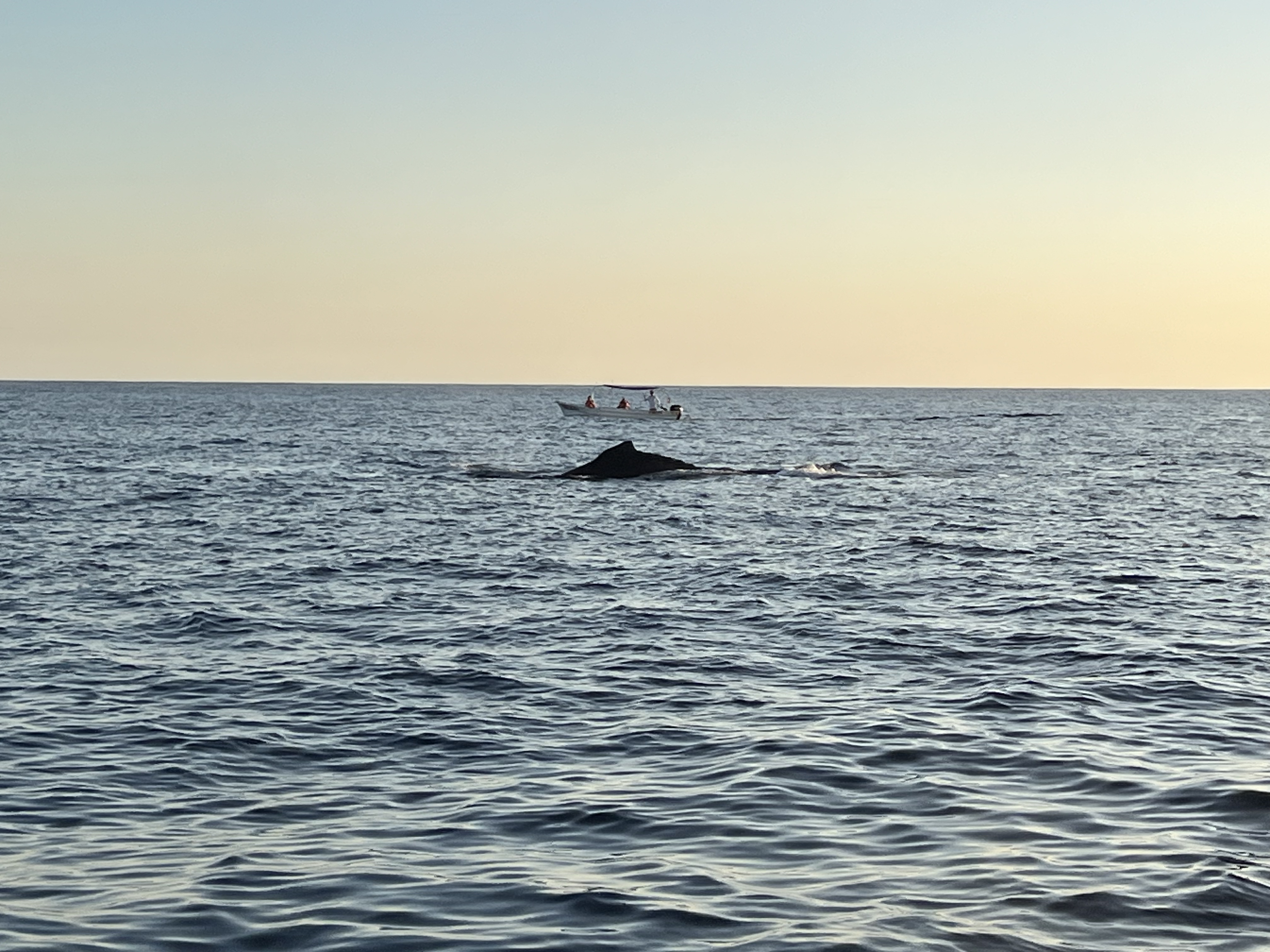 ./2024/13 - Cabo/IMG_4737.jpg